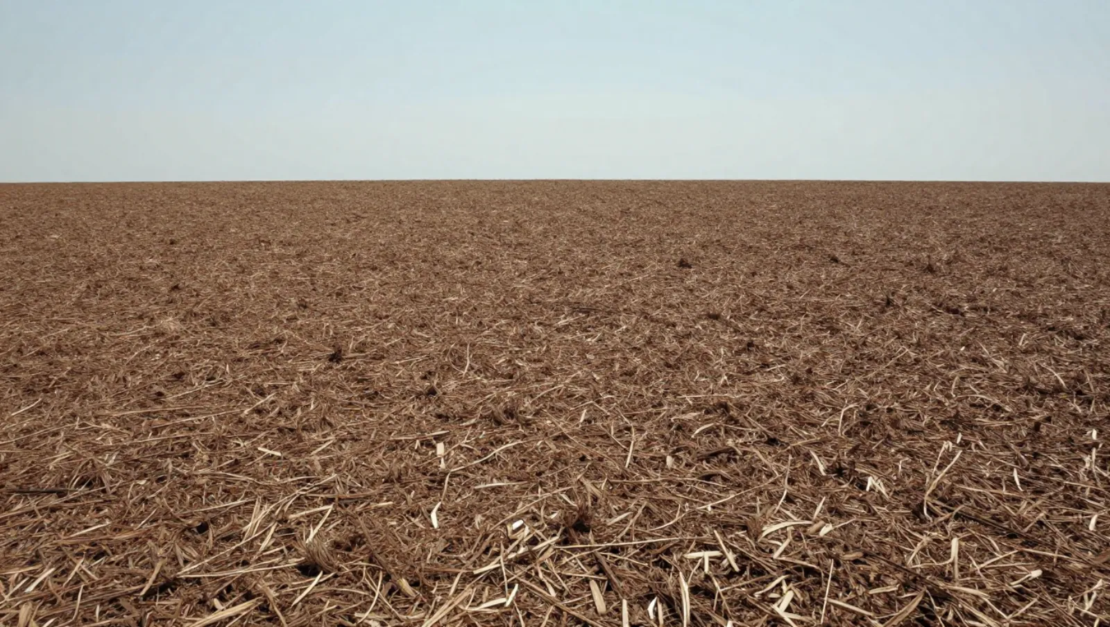 Combine harvesters worked flat farmland, leaving harvested crop residue after harvesting — Daniel Dean Land Clearing, Southeast Texas