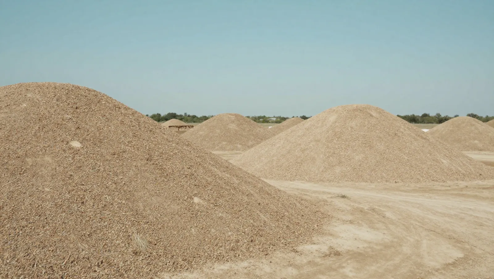 Sawdust piles store on flat dirt terrain via sawmill machinery processing for material handling — Daniel Dean Land Clearing, Southeast Texas