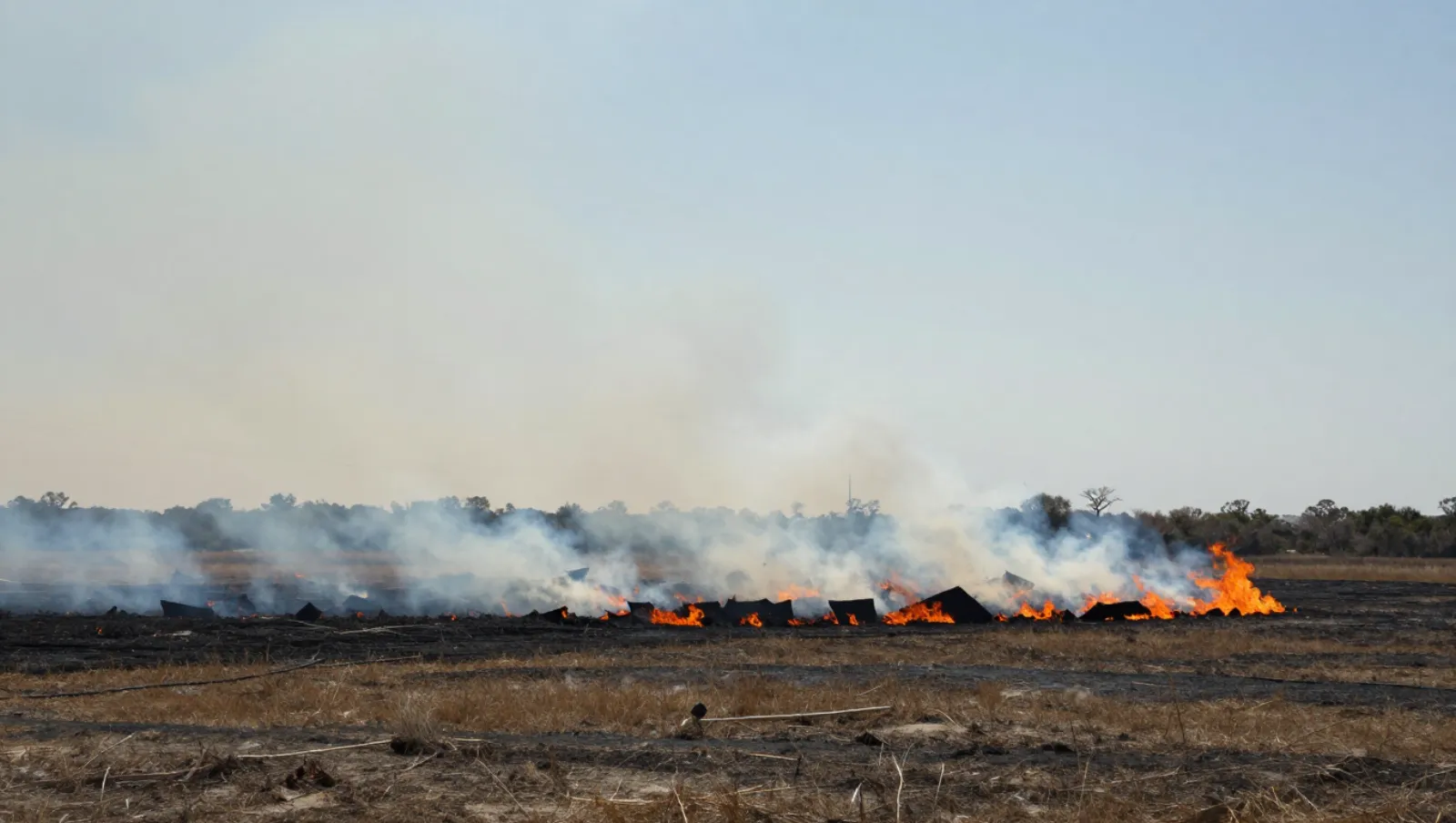 A Guide to Ground Clearing Techniques That Work | Daniel Dean Controlled fire spreads across dry grassland terrain without visible machinery — Daniel Dean Land Clearing, Southeast Texas