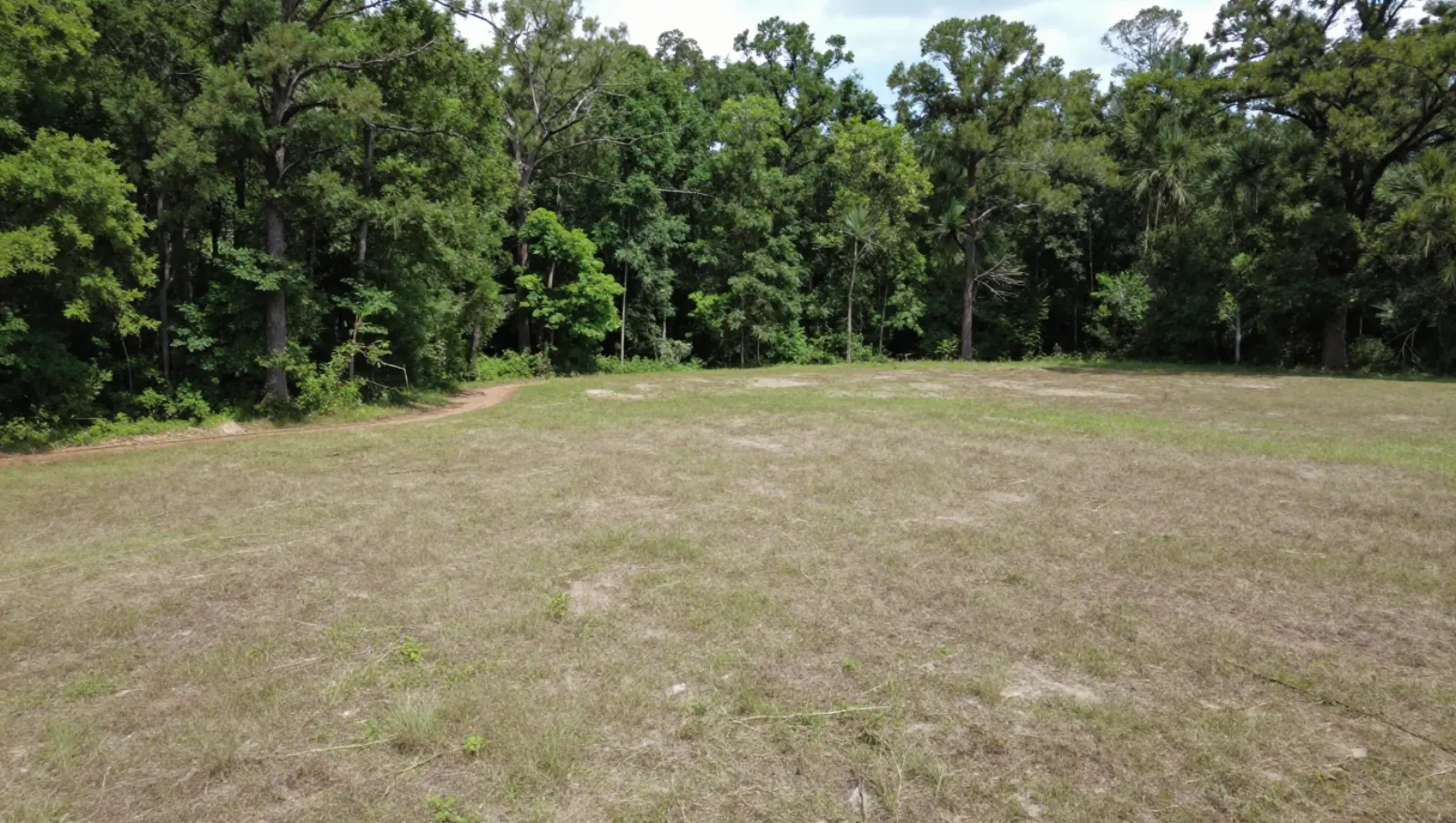 Grassy field bordered by dense trees; no machinery present, no work underway — Daniel Dean Land Clearing, Southeast Texas