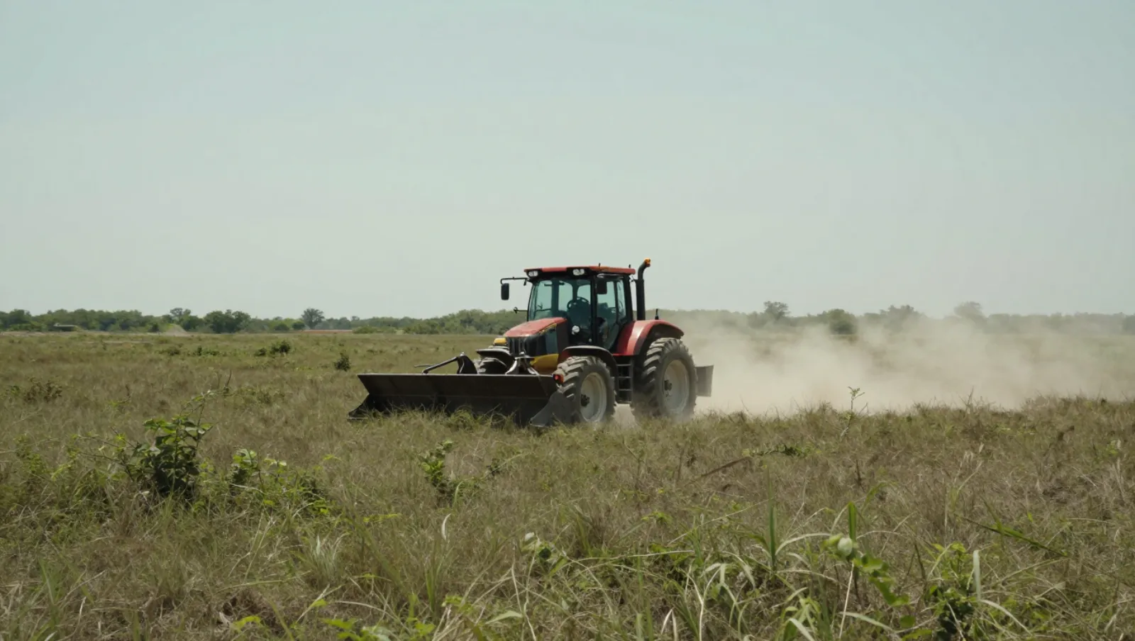 Land Clearing Contractor in Magnolia TX: Avoid Costly Delays Red tractor moves through dry field, stirring dust while working soil — Daniel Dean Land Clearing, Southeast Texas