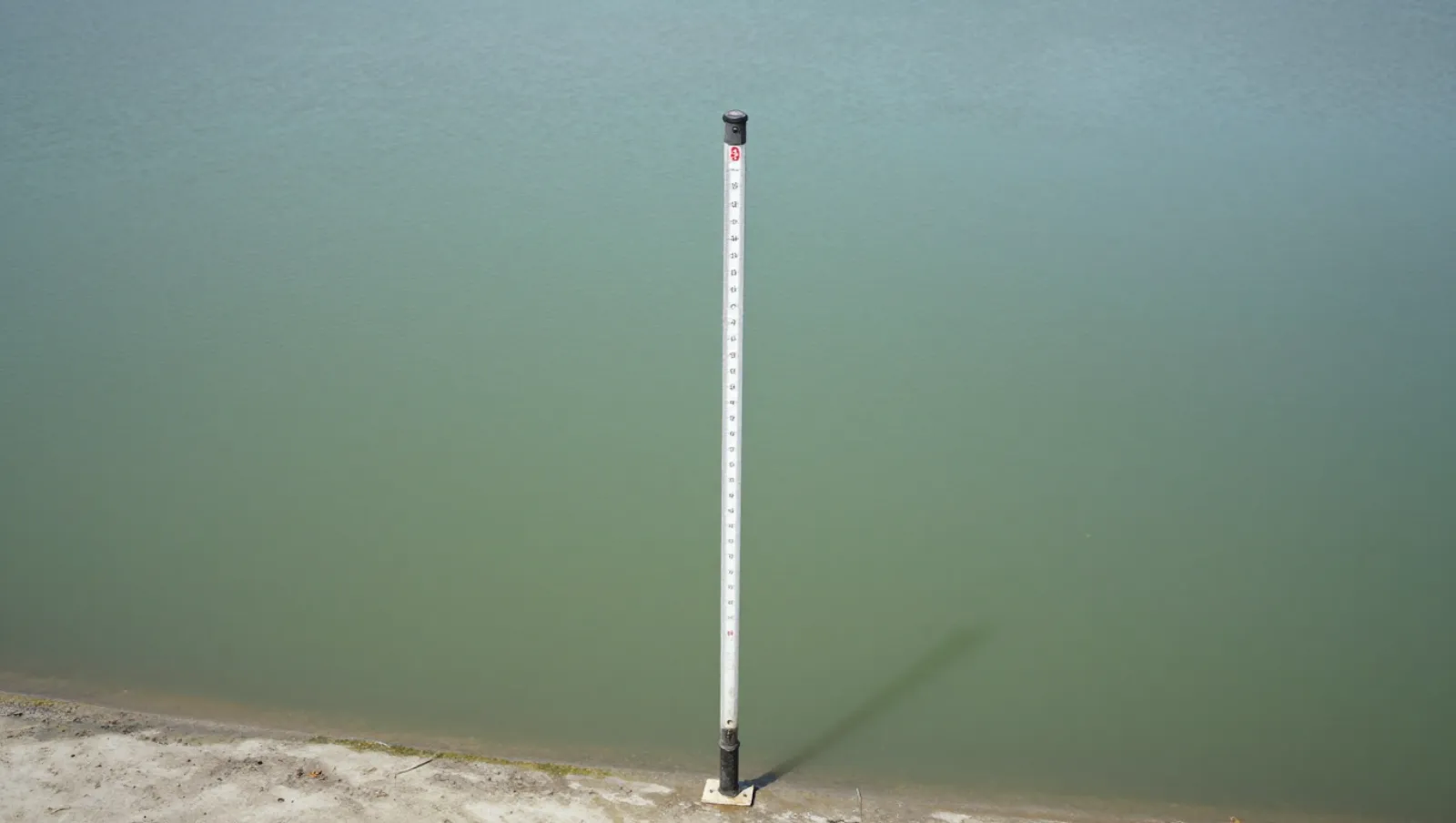 Water level gauge on sandy shore measures water depth near greenish water — Daniel Dean Land Clearing, Southeast Texas