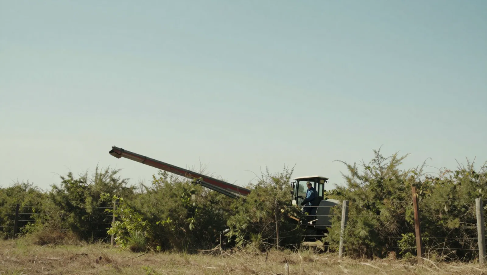 A harvester works in a dry field, gathering crops from dense shrubs — Daniel Dean Land Clearing, Southeast Texas