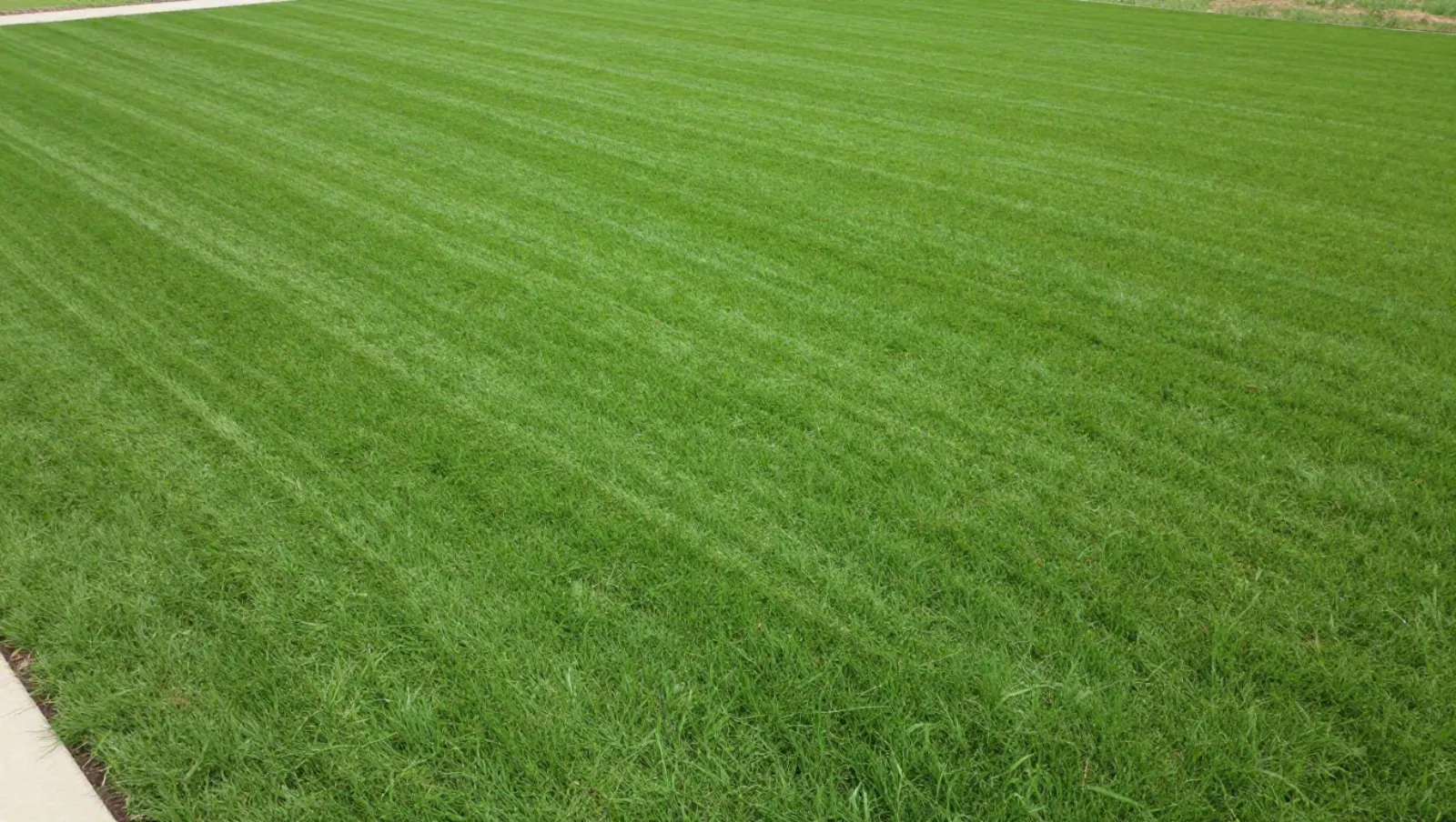Lawnmower strips a flat green grass terrain for turf maintenance work — Daniel Dean Land Clearing, Southeast Texas