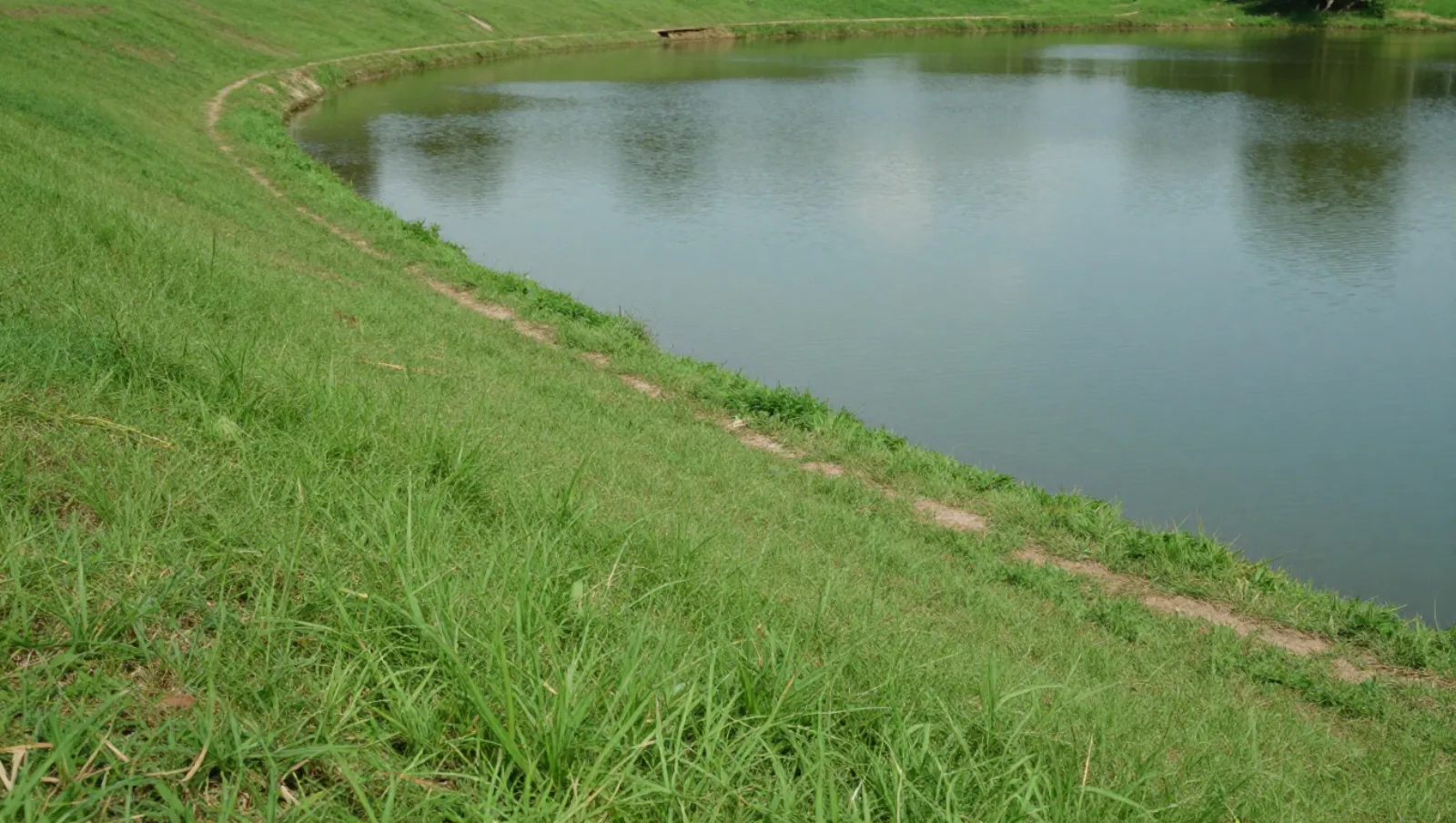 Grassy embankment next to pond with dirt path; terrain is grassland, no machinery, work done on path — Daniel Dean Land Clearing, Southeast Texas