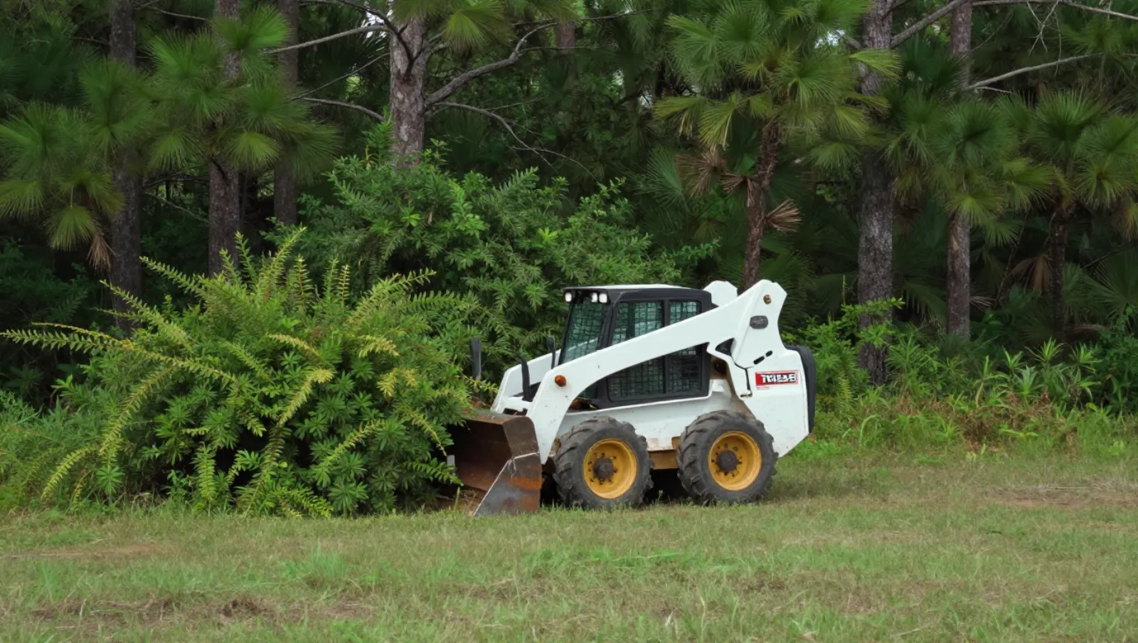 White skid steer pushes green bushes on a grassy field with trees in background — Daniel Dean Land Clearing, Southeast Texas