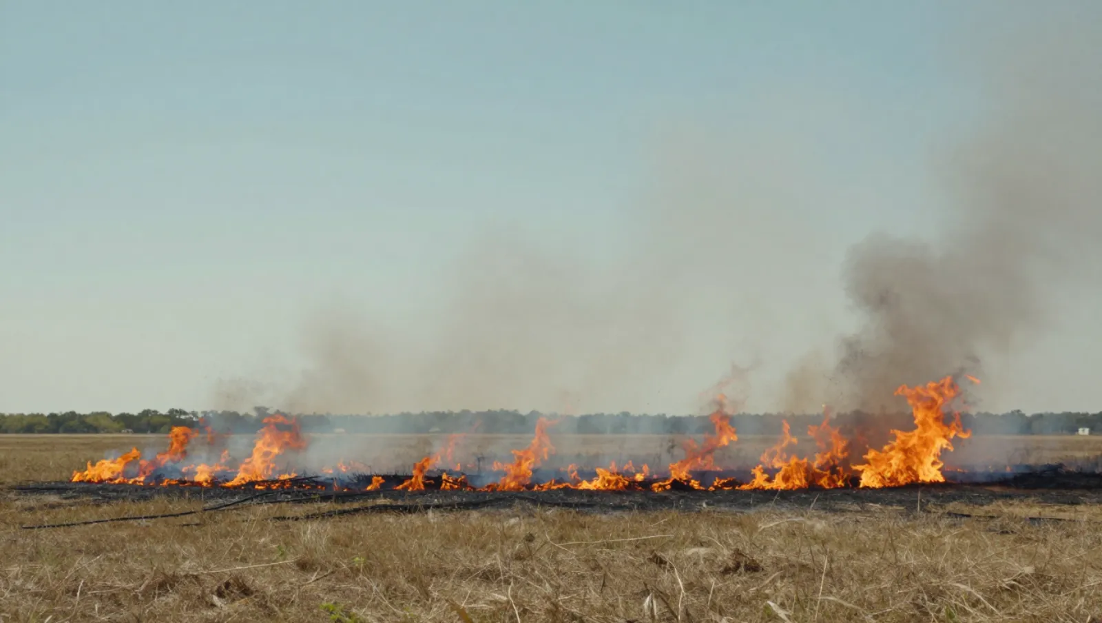 Brush Clearing for Texas Landowners Before Site Work Begins Controlled burn burns dry grass across an open field; work uses no visible machinery for wildfire management — Daniel Dean Land Clearing, Southeast Texas