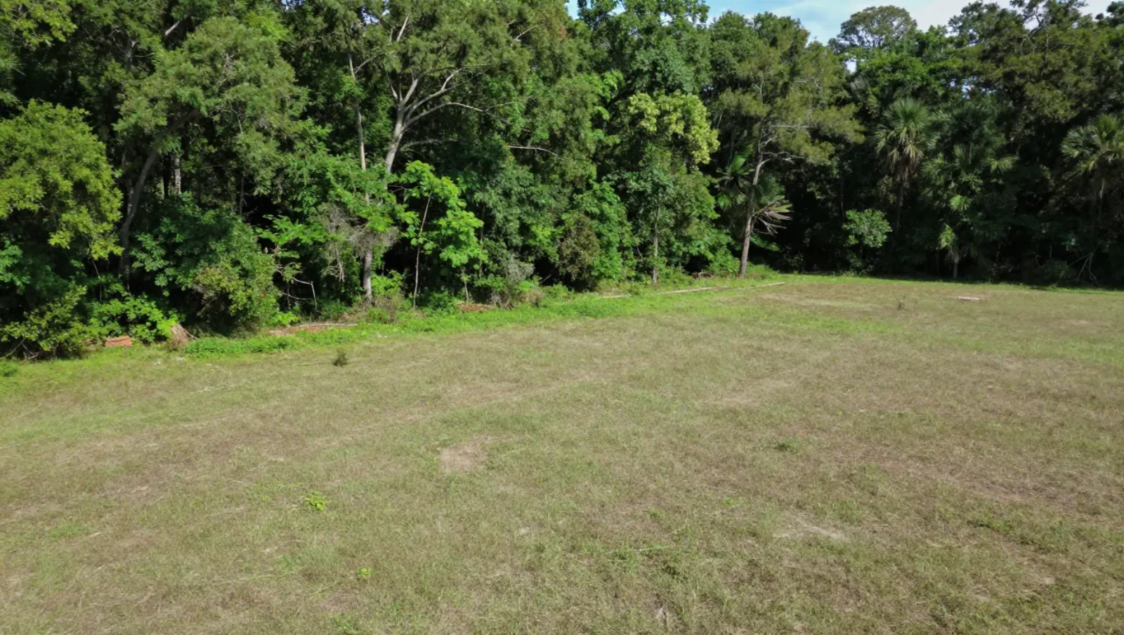 Grassy field bordered by dense trees; no machinery, no active work — Daniel Dean Land Clearing, Southeast Texas