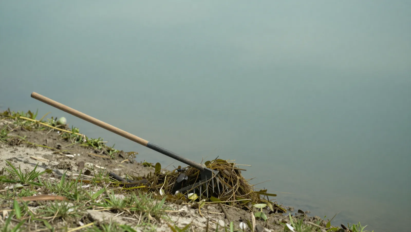 Common Mistakes to Avoid When Killing Weeds in Ponds Garden rake rests on a muddy riverbank clearing aquatic plants and twigs — Daniel Dean Land Clearing, Southeast Texas