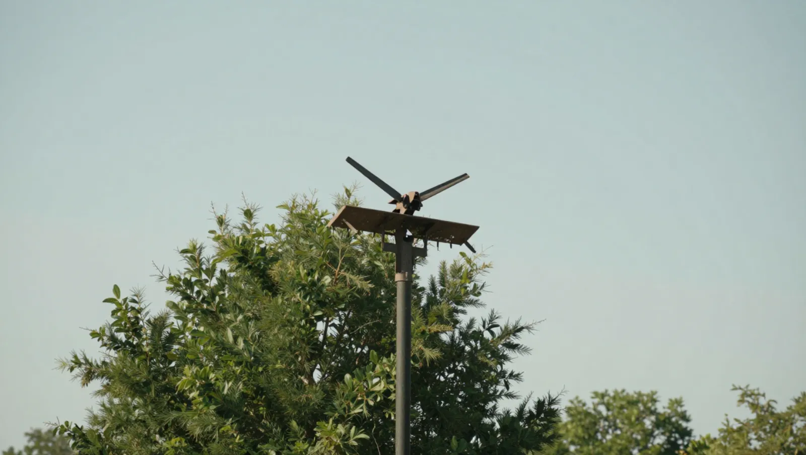 Tree and Brush Removal for Properties With Heavy Tree Coverage Wind sensor on pole above trees in rural terrain measures atmospheric conditions — Daniel Dean Land Clearing, Southeast Texas