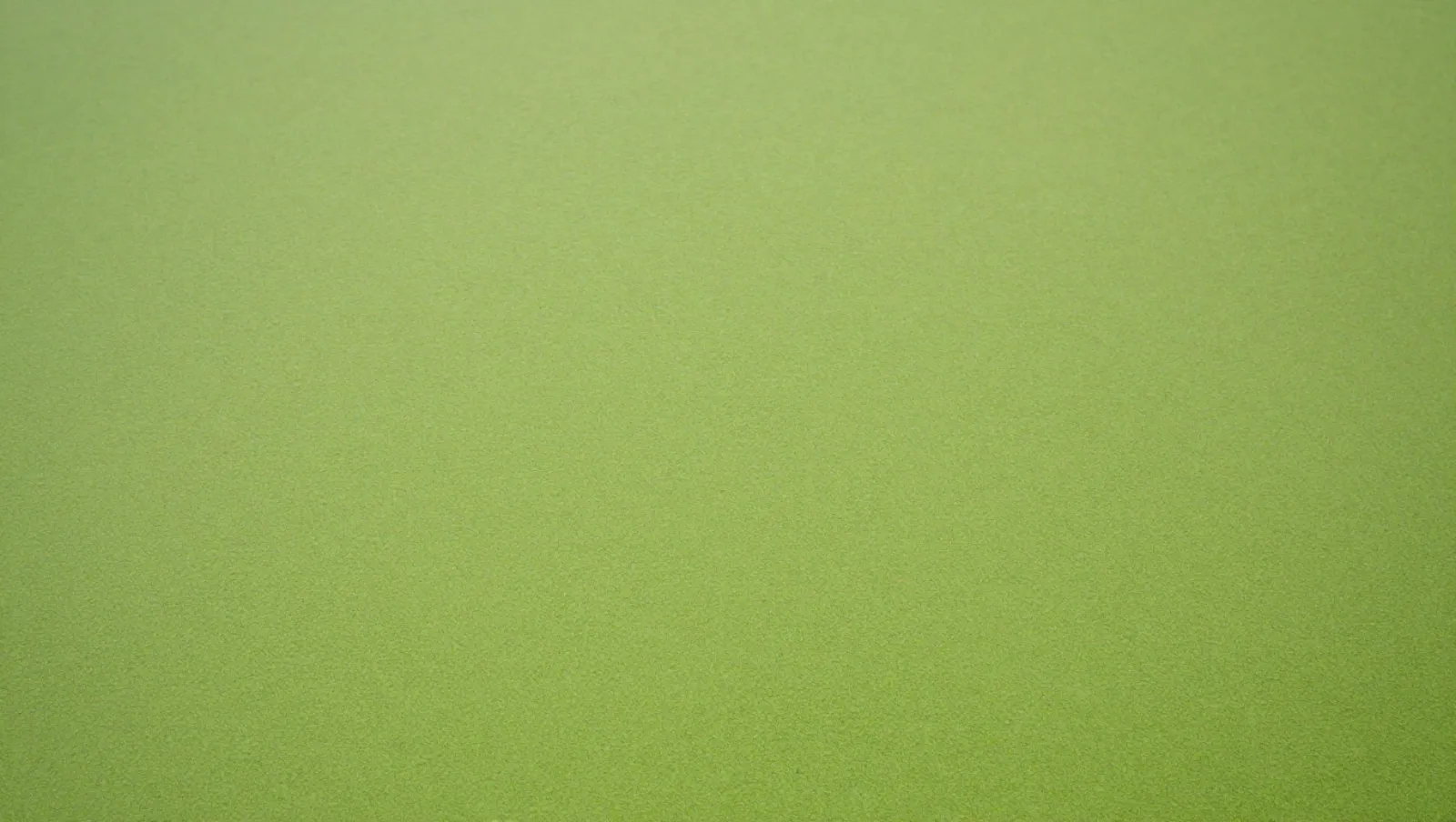 Types of Aquatic Vegetation for DIY Ponds and Garden Waterways No machinery, terrain, or work visible on this solid green textured photograph — Daniel Dean Land Clearing, Southeast Texas
