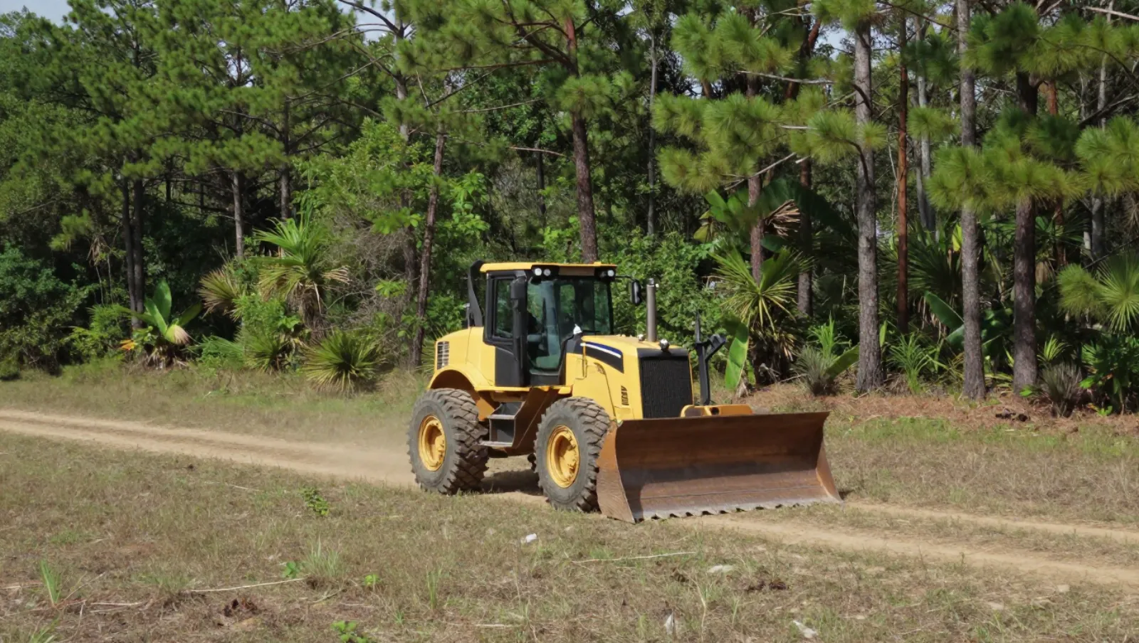 What Is Land Clearing? How It Prepares Land for Development Yellow bulldozer moves earth on a grassy dirt road near forested area — Daniel Dean Land Clearing, Southeast Texas