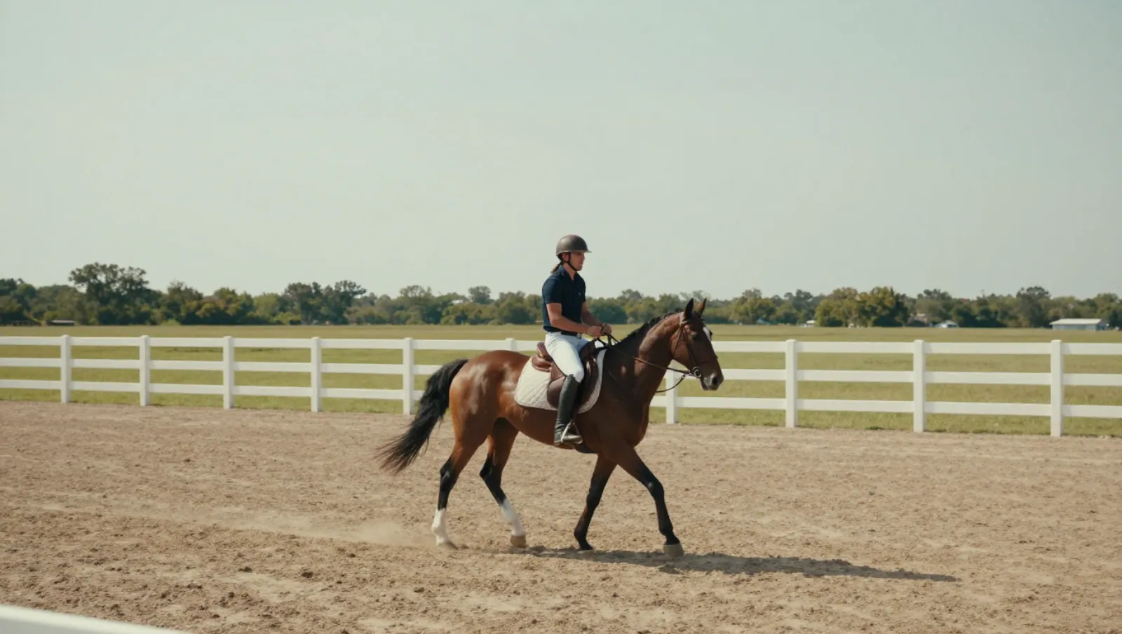 Arena and trail construction in Houston, Texas — completed work Rider rides horse in dirt arena performing equestrian work — riding arena and trail construction in Houston, Texas