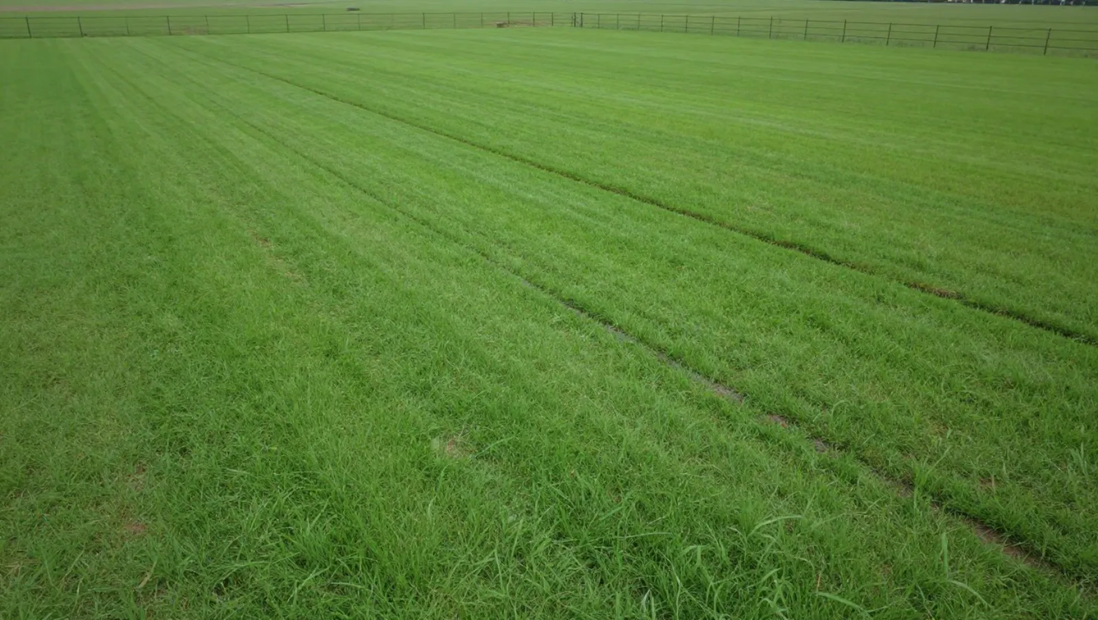 Drainage in Fulshear, Texas — completed work Tractor tire tracks divide a lush grassy field into parallel furrows for agricultural maintenance — yard and property drainage in Fulshear, Texas