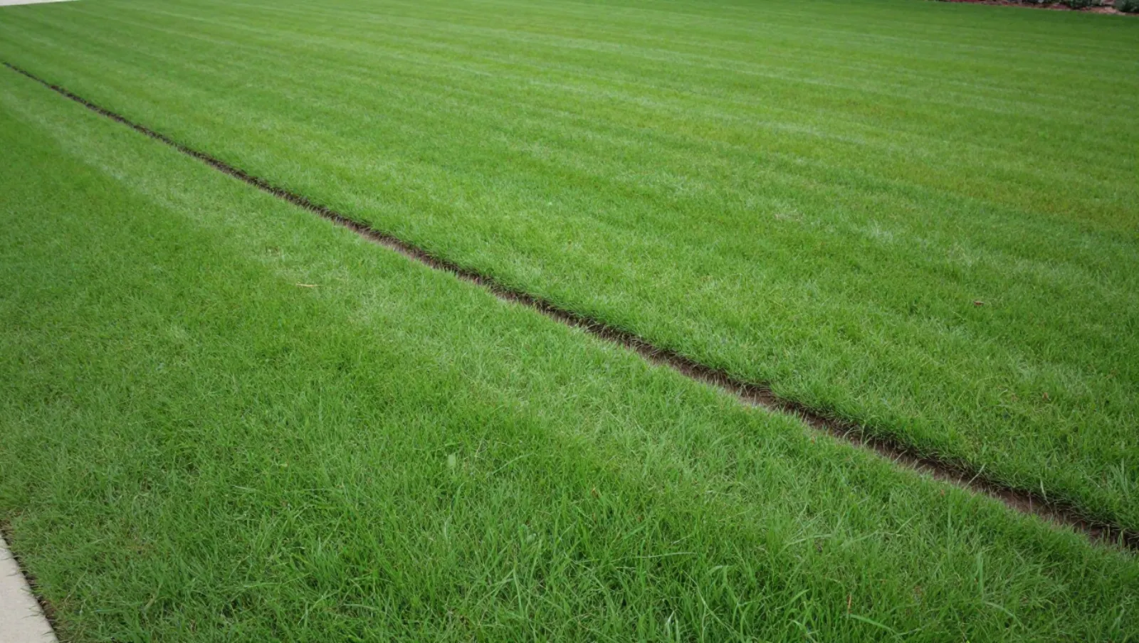 Drainage in Houston, Texas — completed work Turf edging machinery cuts a straight trench through lush green grass for precise lawn border installation — yard and property drainage in Houston, Texas
