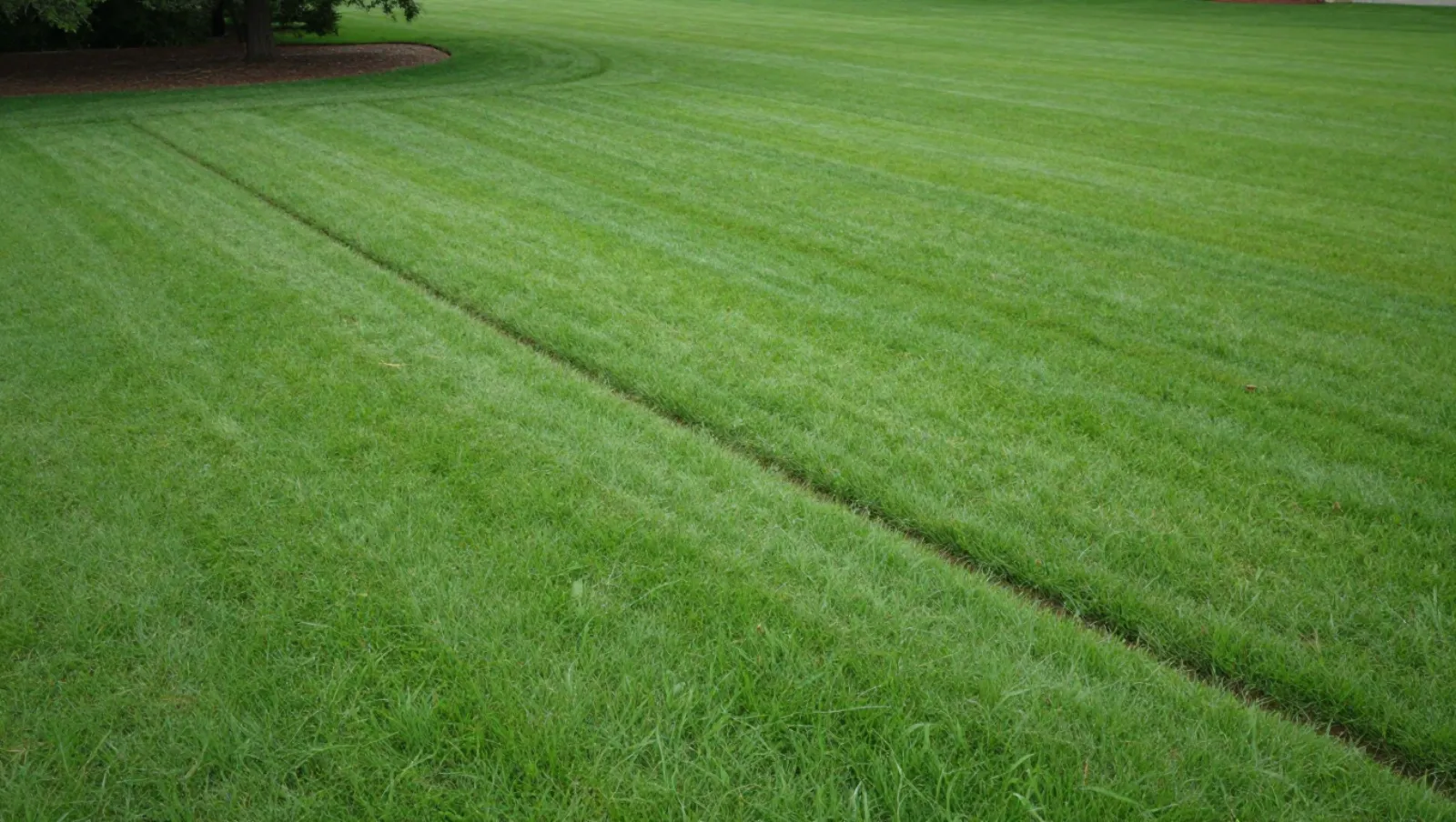 Drainage in Humble, Texas — completed work Lawn mower creates straight lines on the green grass field for neat mowing work — yard and property drainage in Humble, Texas