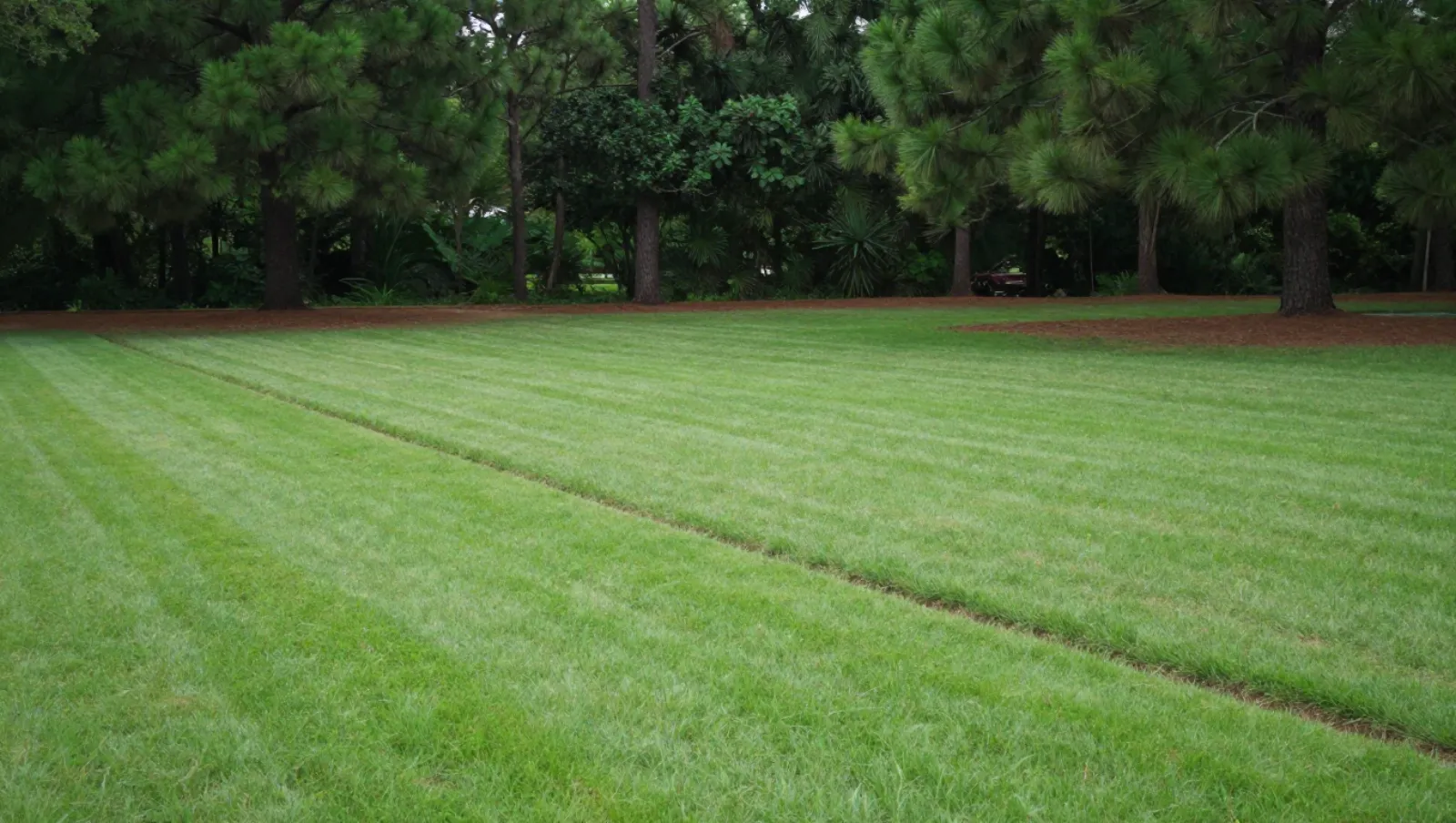 Drainage in The Woodlands, Texas — completed work Lawnmower creates striped patterns on grassy terrain through mowing work — yard and property drainage in The Woodlands, Texas