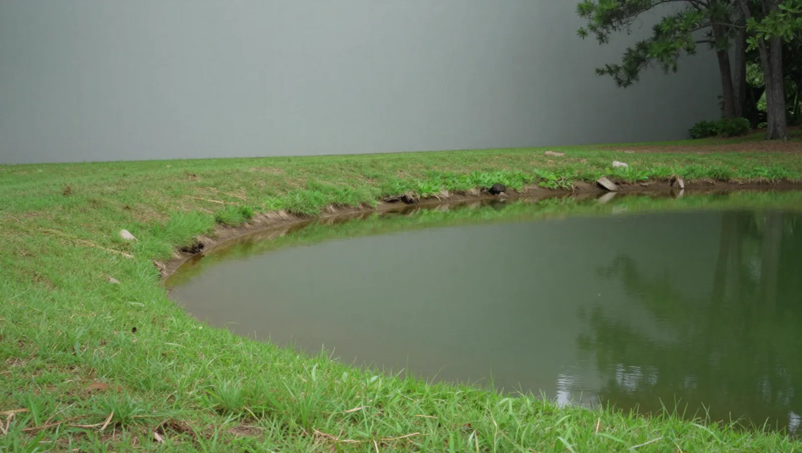 Pond services in Conroe, Texas — completed work Grassy terrain borders a small pond near a gray wall; no machinery or visible work present — pond dredging and construction in Conroe, Texas