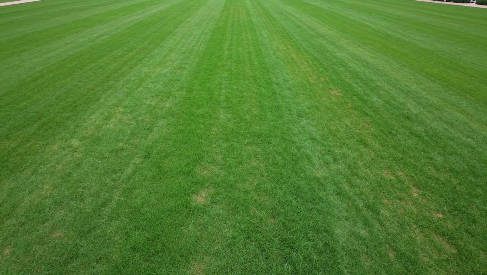 Land leveling in Houston, Texas — completed work Grass field with striped patterns from a mower shows completed mowing work on open terrain — land leveling in Houston, Texas