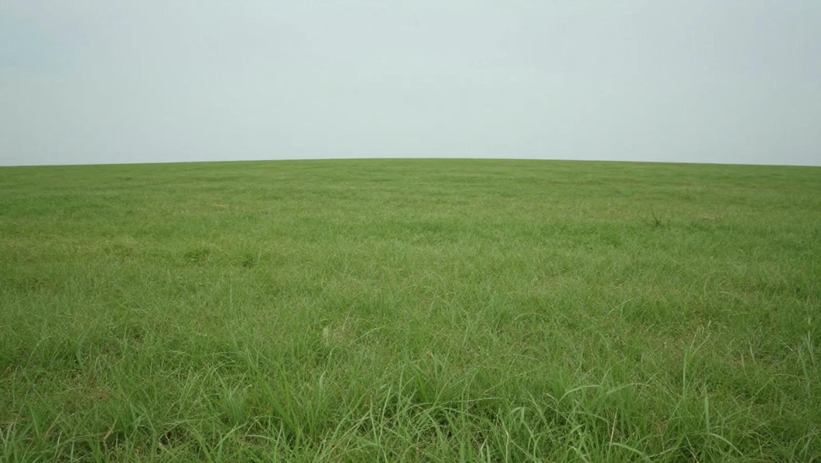 Land leveling in Sealy, Texas — completed work No machinery on a grassy terrain; no work is conducted — land leveling in Sealy, Texas