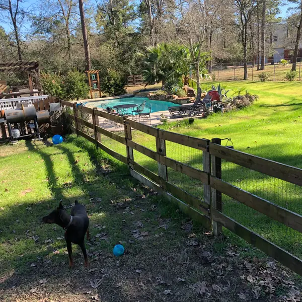 Yard completely dry hours after a six-inch rain event