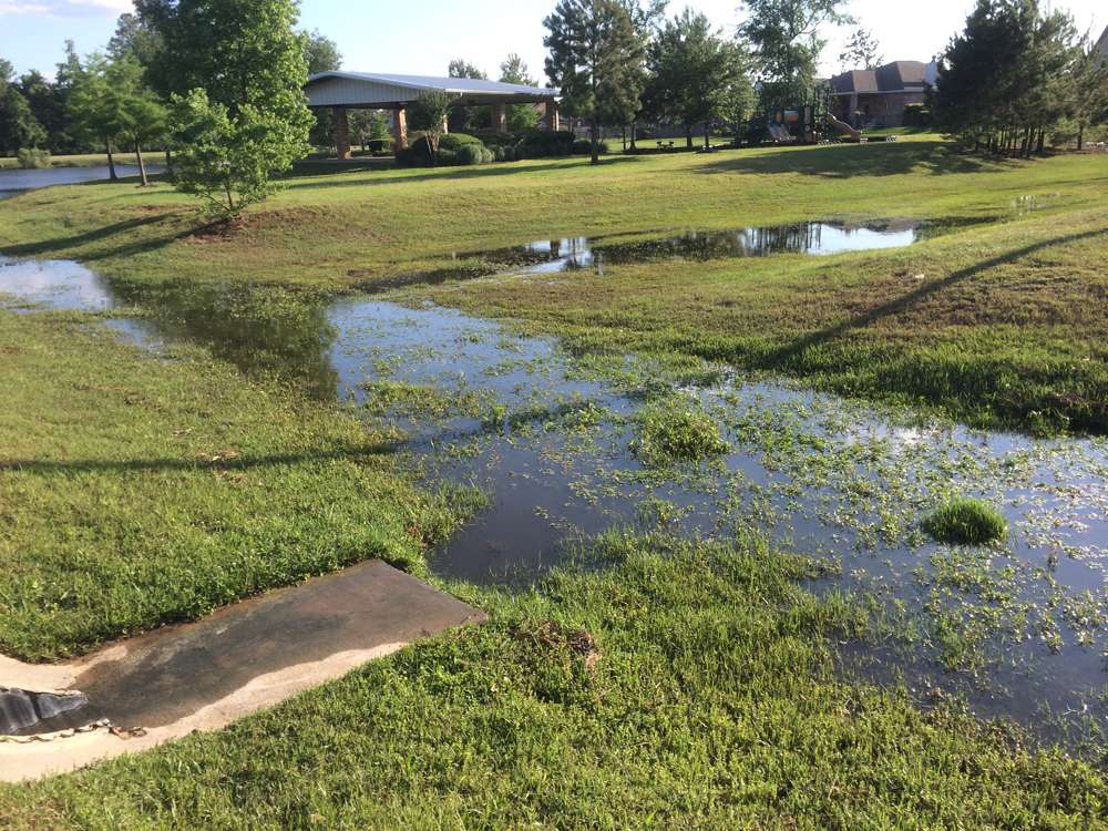 Standing water problem requiring underground pipe solution