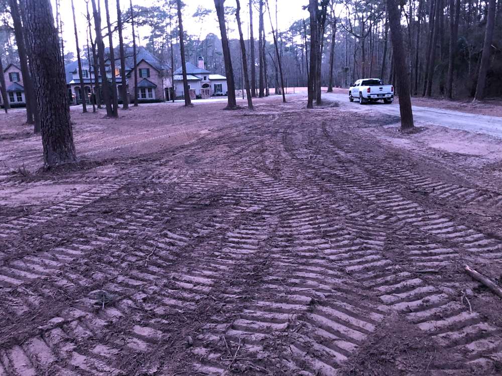 Land Clearing Project 19