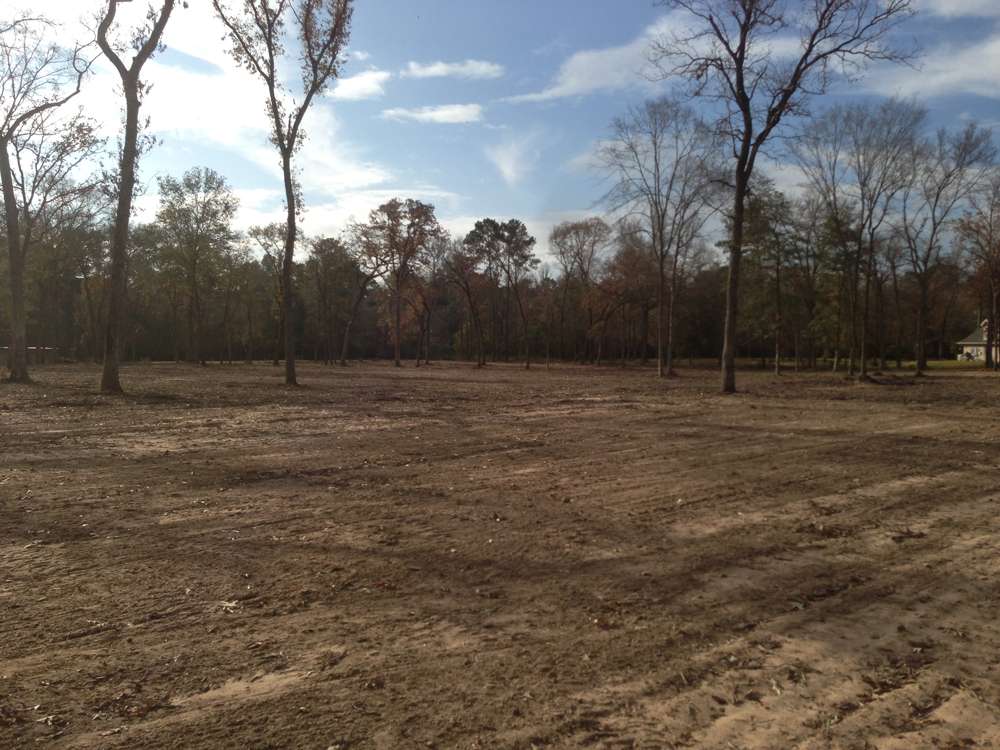 Land Clearing Project 18