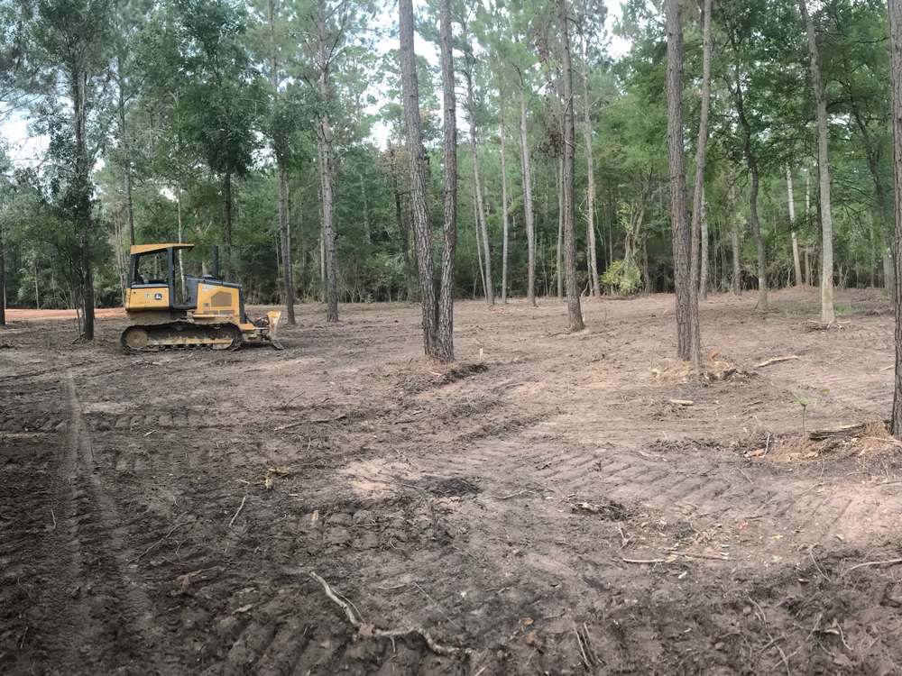 Land Clearing Project 16