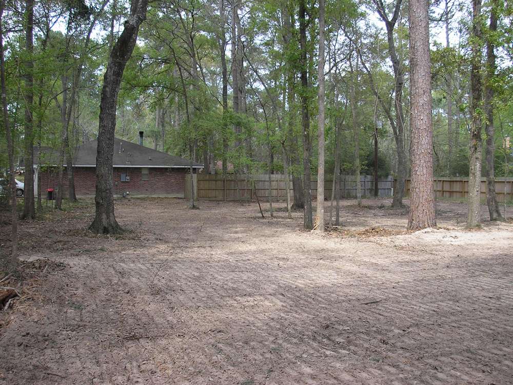 Land Clearing Project 15
