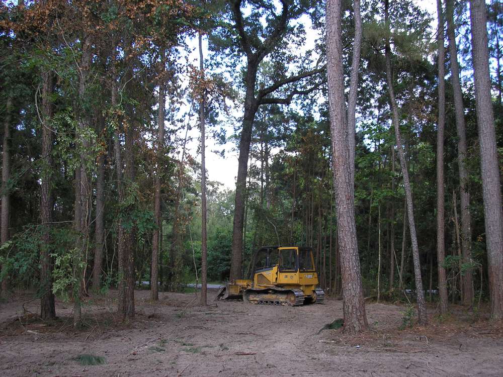 Tree Removal Estimate in Texas and What Affects the Final Cost Brush-Removed