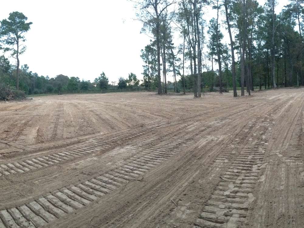 Land Clearing Project 13