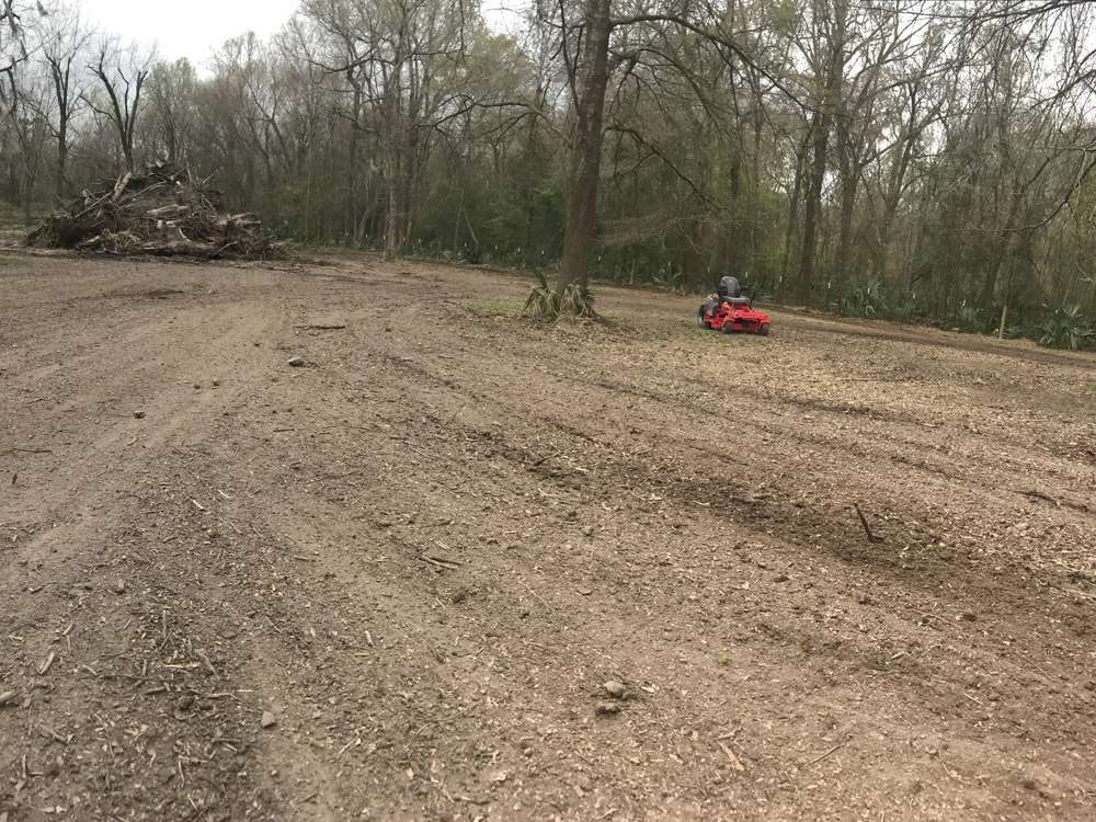 Land Clearing Project 12