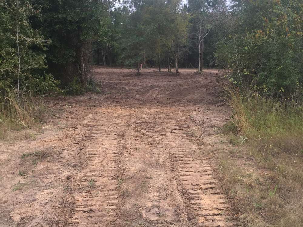 Land Clearing Project 25