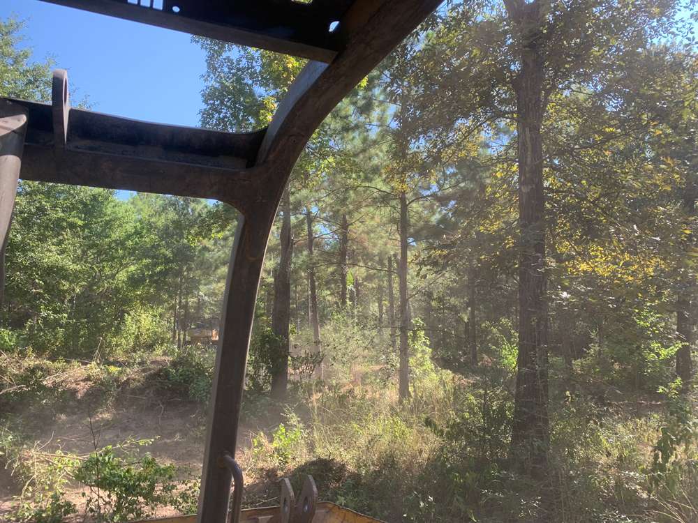 Land Clearing Project 7