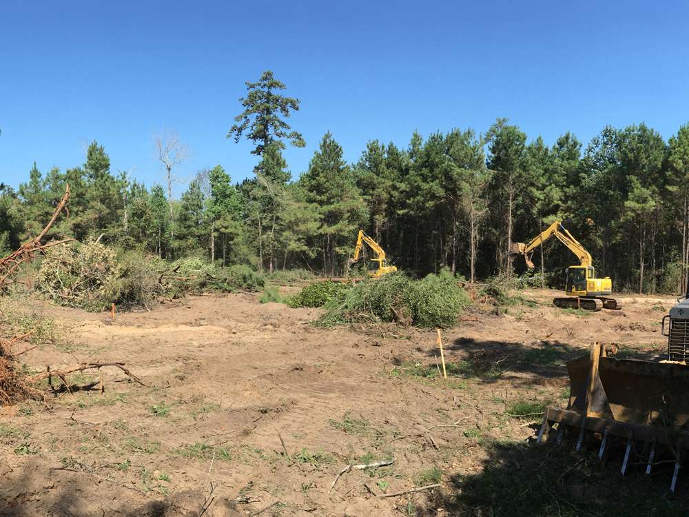 Land Clearing Project 23
