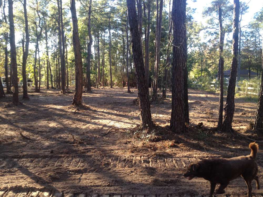 Land Clearing Project 2