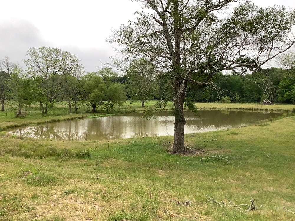 How to Dredge a Pond Without Damaging Surrounding Landscape Pond-for-Jack-near-Montgomery-Tx---after-water