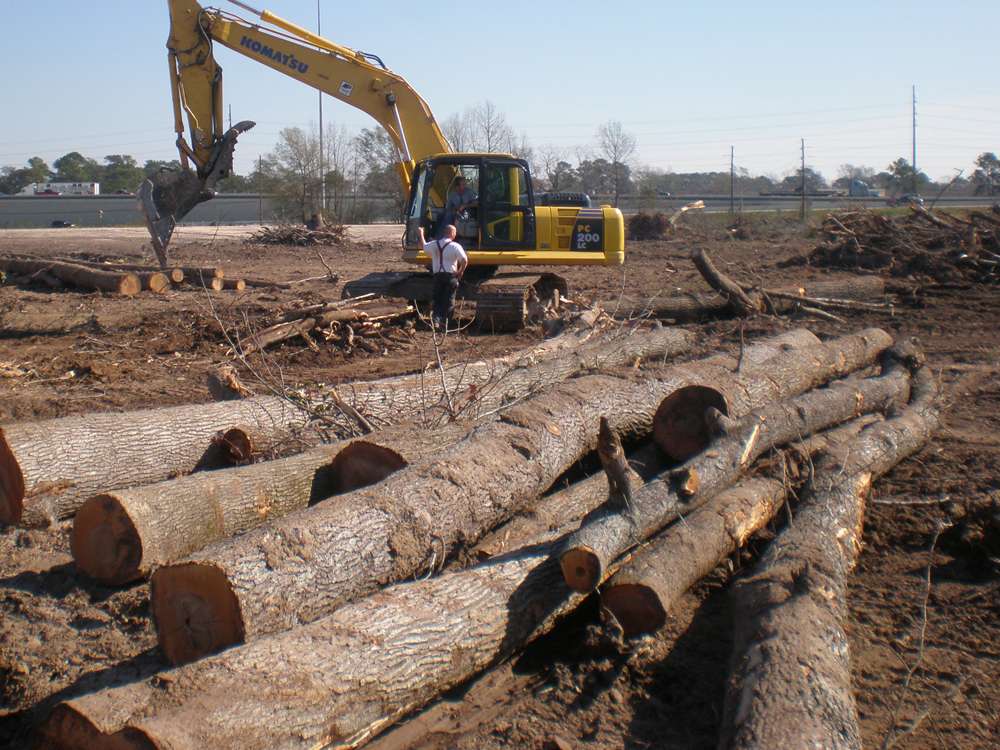 Land Clearing Project 36