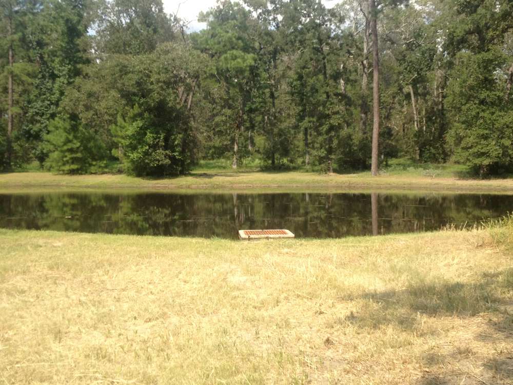 Ponds & Lakes Project 37