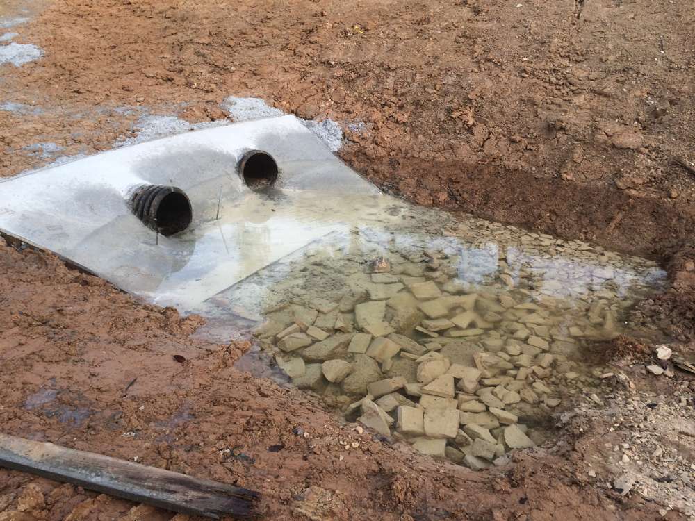 Ponds & Lakes Project 35