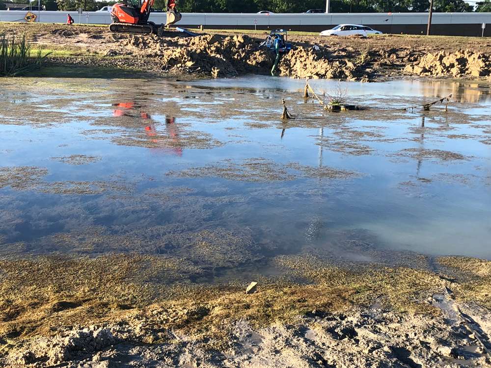 Pond Cleaning Tips Every Homeowner Should Know in Texas Retention Pond Before De Silting