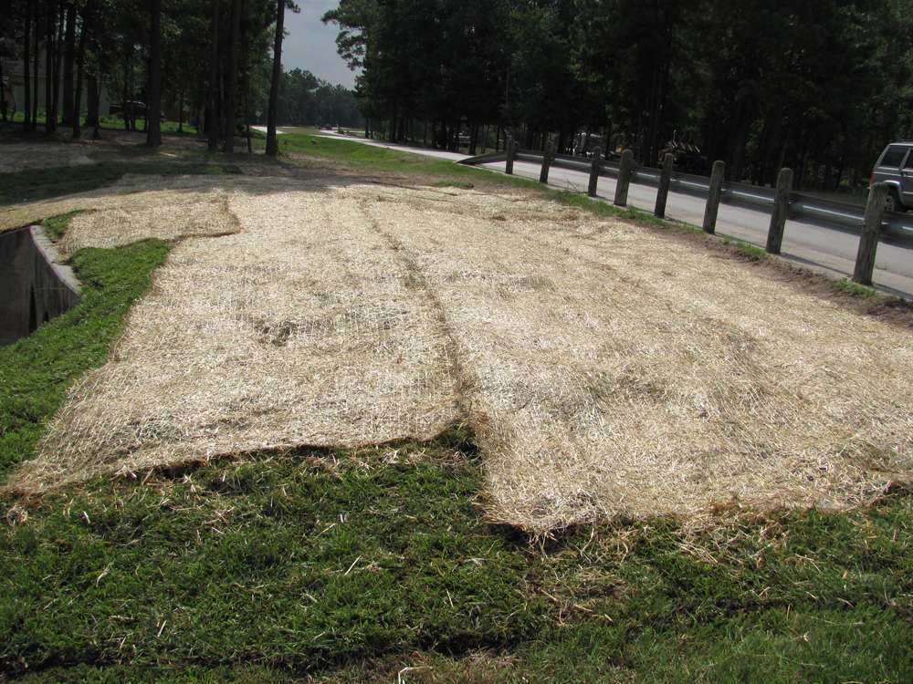 Erosion control blankets protecting slope