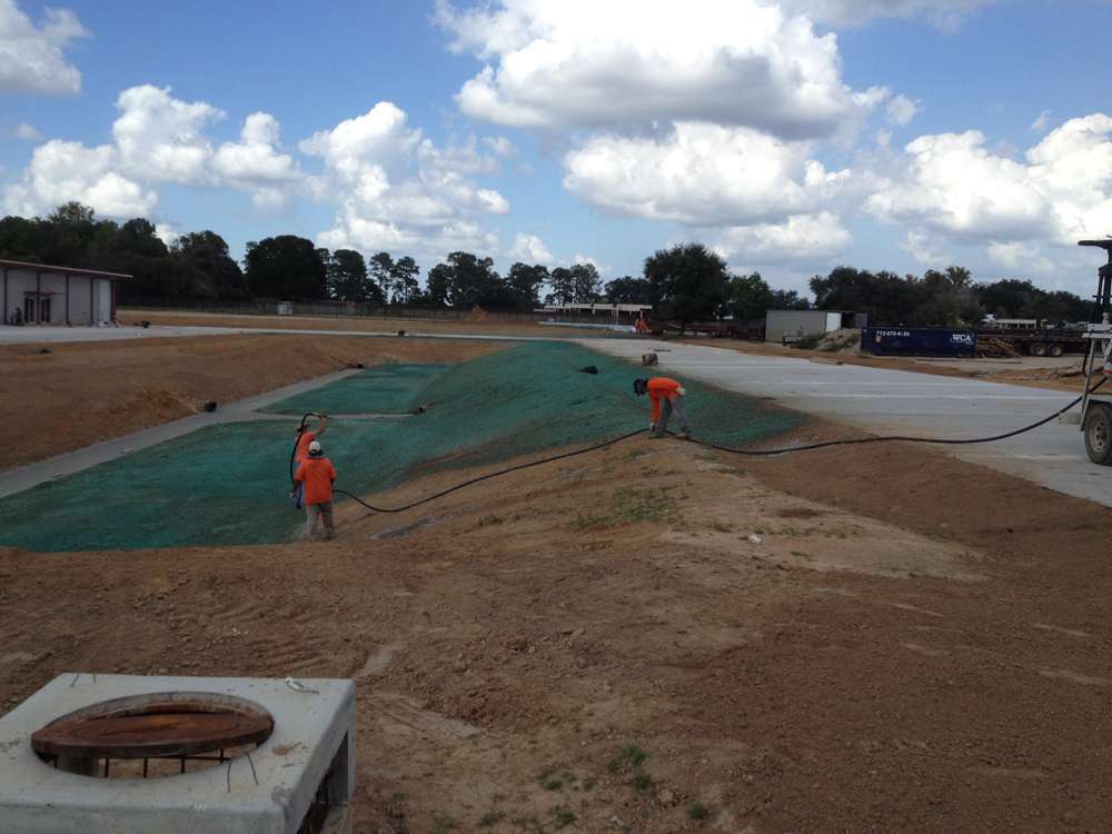 Grass establishment after erosion control seeding