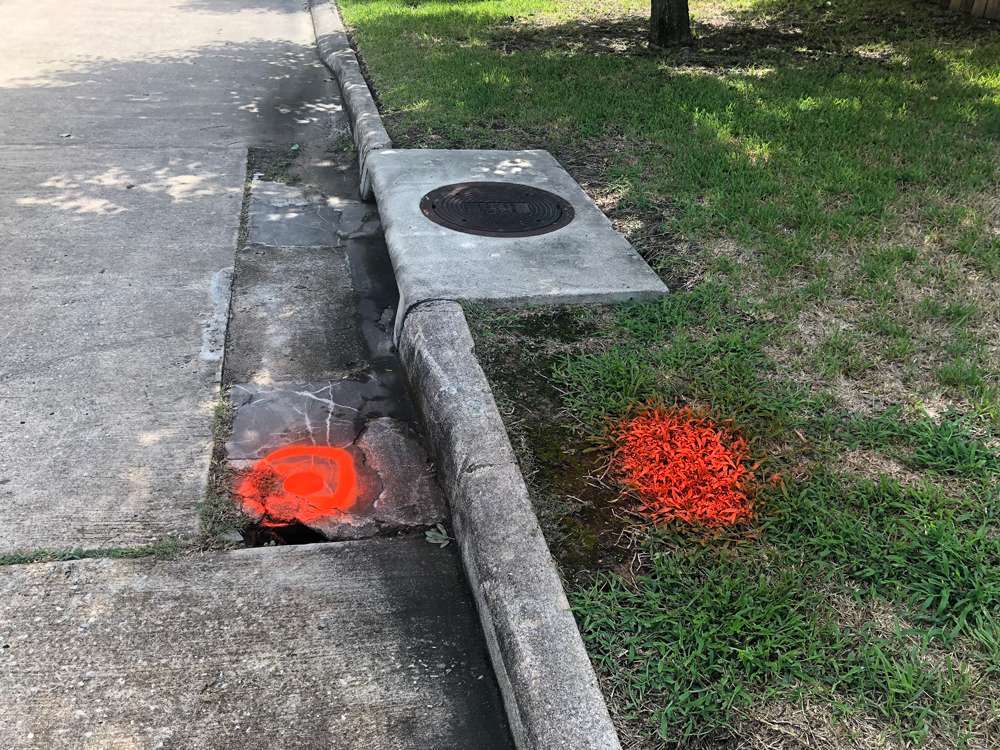 Erosion Control Project 61