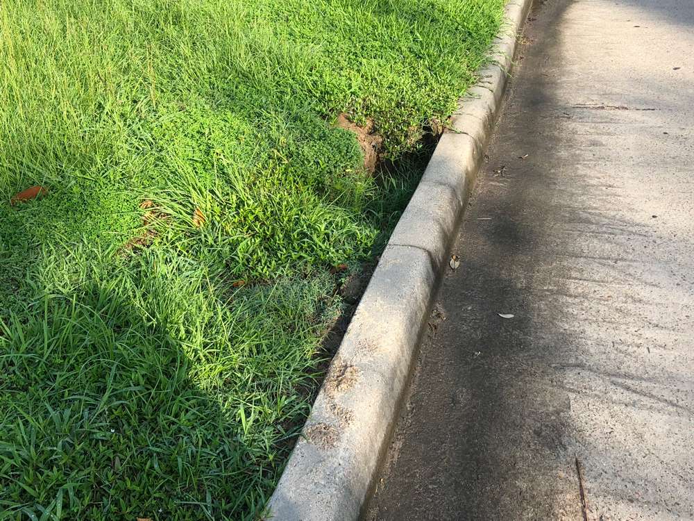 Erosion Control Project 55