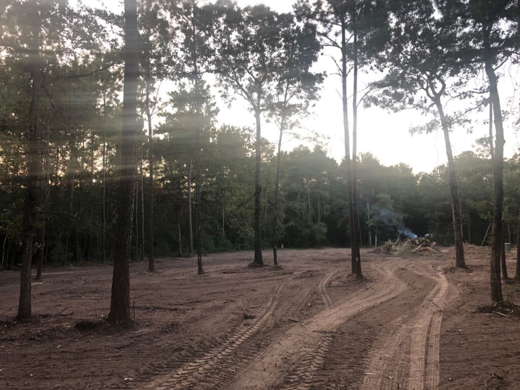 land clearing brush removal