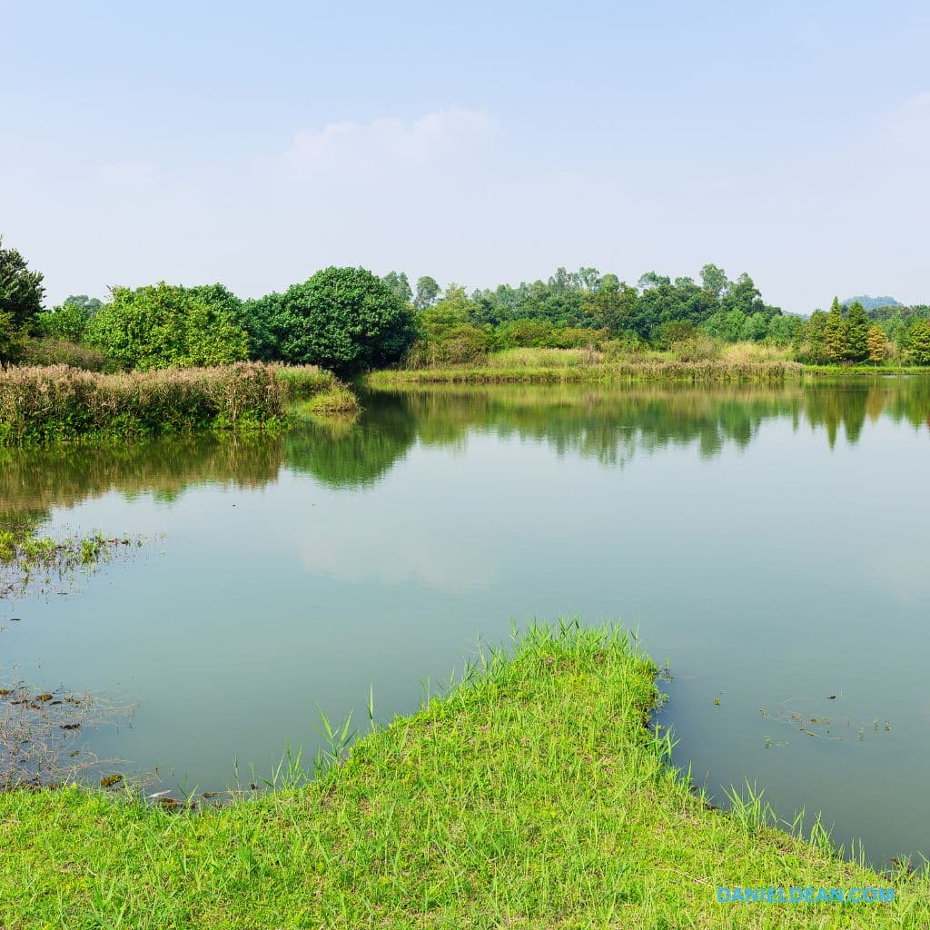 Calm lake surrounded by green vegetation; no machinery present, terrain is grassy wetland, and no work being done — Daniel Dean Land Clearing, Southeast Texas