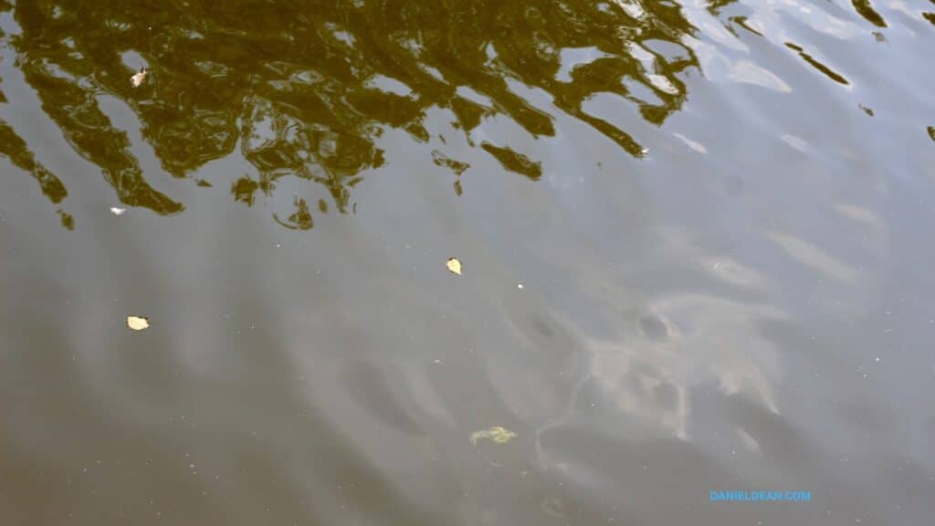 Water surface terrain shows tree reflections and floating debris; no machinery or active work present — Daniel Dean Land Clearing, Southeast Texas
