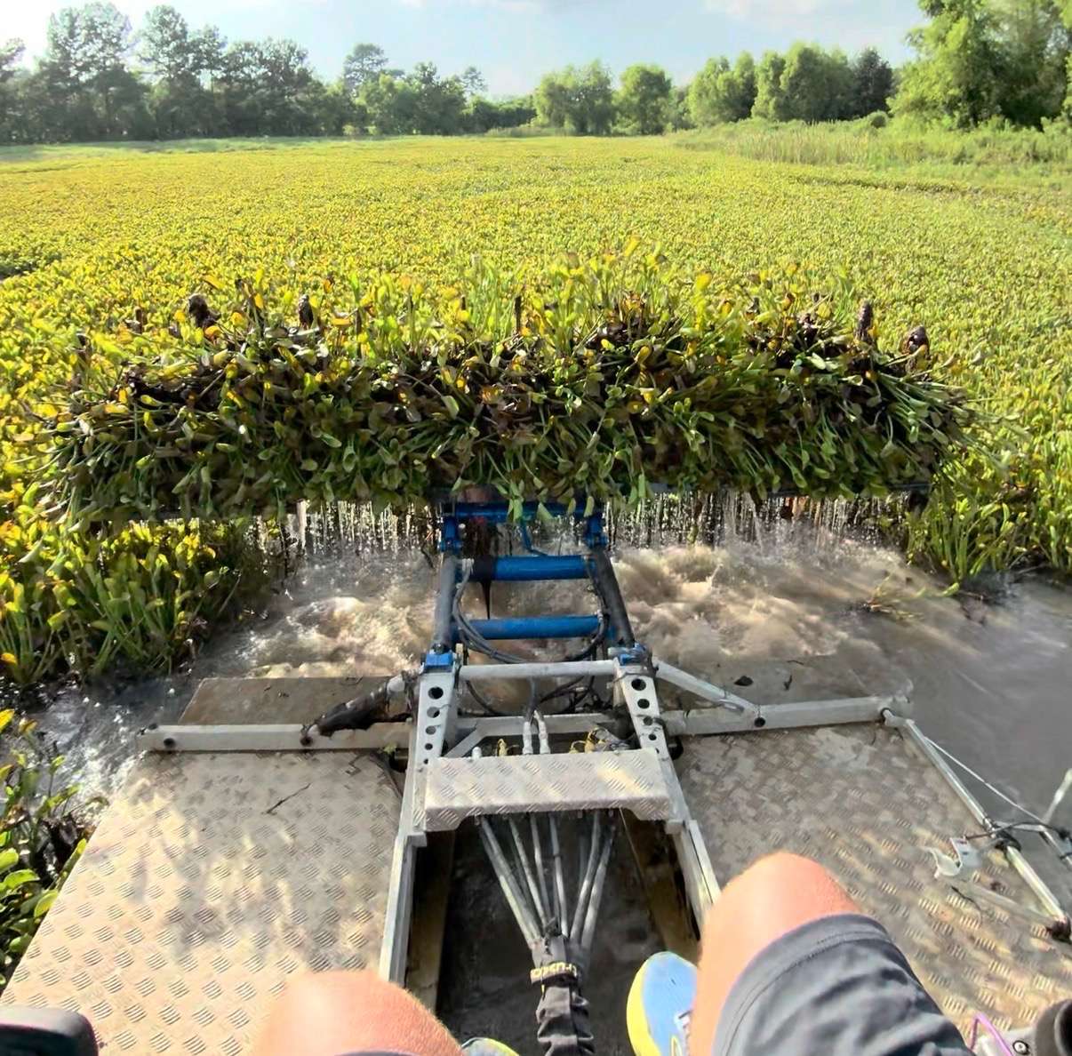 Professional Pond Vegetation Removal and Cleaning Services Professional Pond Vegetation Removal and Cleaning Services